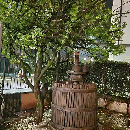 Cavalleri 2* Gattinara