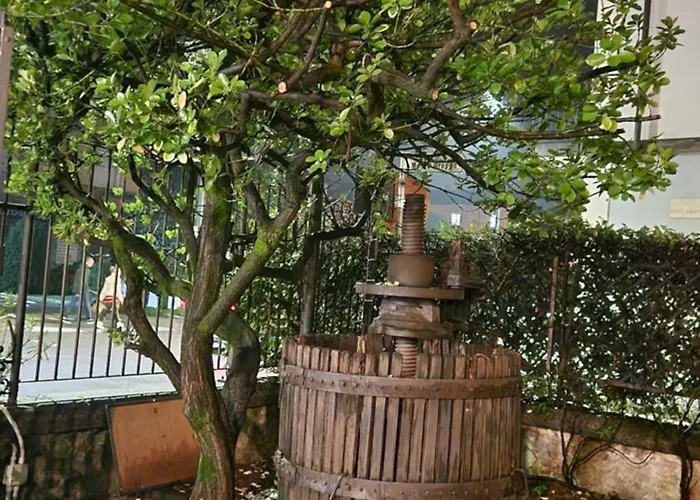 Cavalleri 2* Gattinara